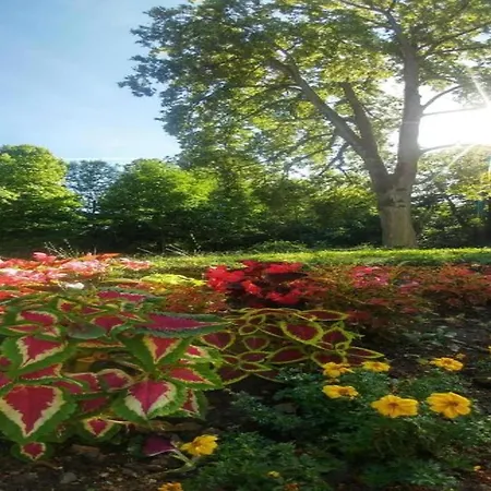 公寓 In Armsfeld With Pool 贝格弗莱海特