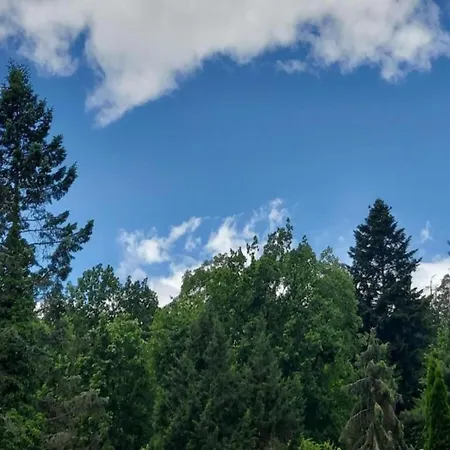 In Armsfeld With Pool 公寓