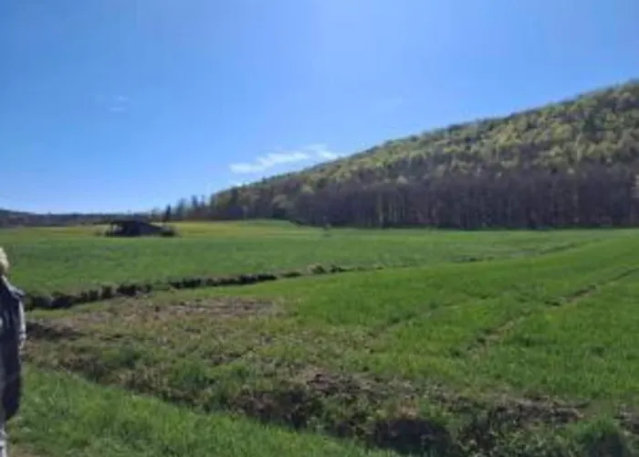 Apartmán In Armsfeld With Pool *