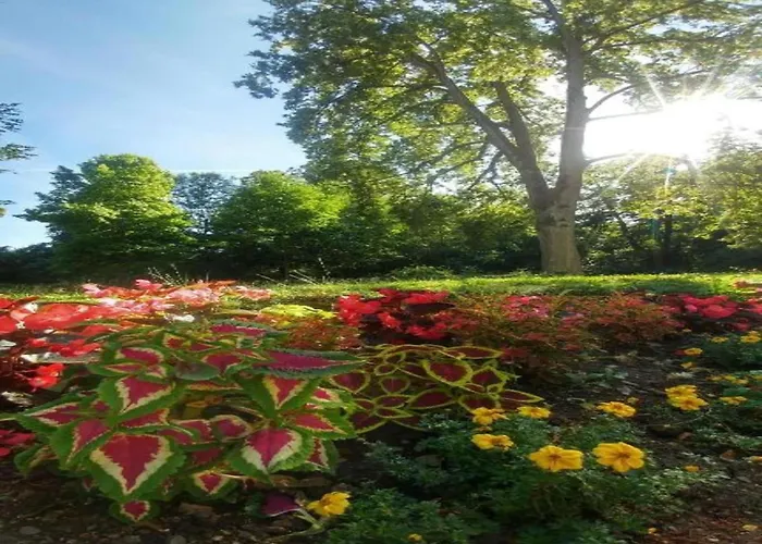 Apartmán In Armsfeld With Pool Bergfreiheit